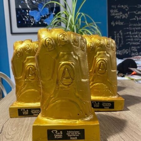 Diseño y gestión de Programa de Incentivos para fuerza de ventas para distribuidores de Multinacional de